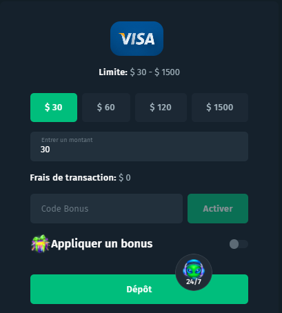 Formulaire de paiement en ligne pour carte de crédit Visa