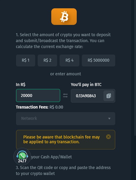 Cryptocurrency deposit interface with Bitcoin logo, options to select preset amounts, a field to enter a custom amount, a conversion to Bitcoin, transaction fees listed as ₹0.00, and a warning about potential blockchain fees.